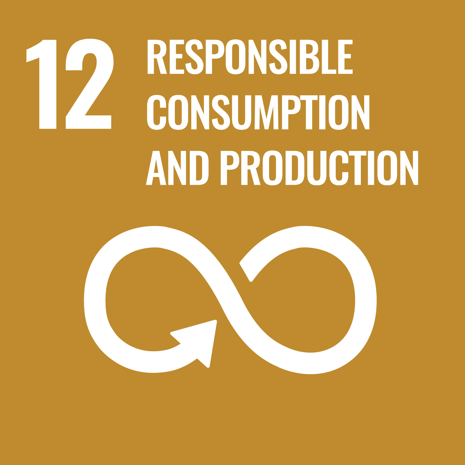 Strategic SDG 12