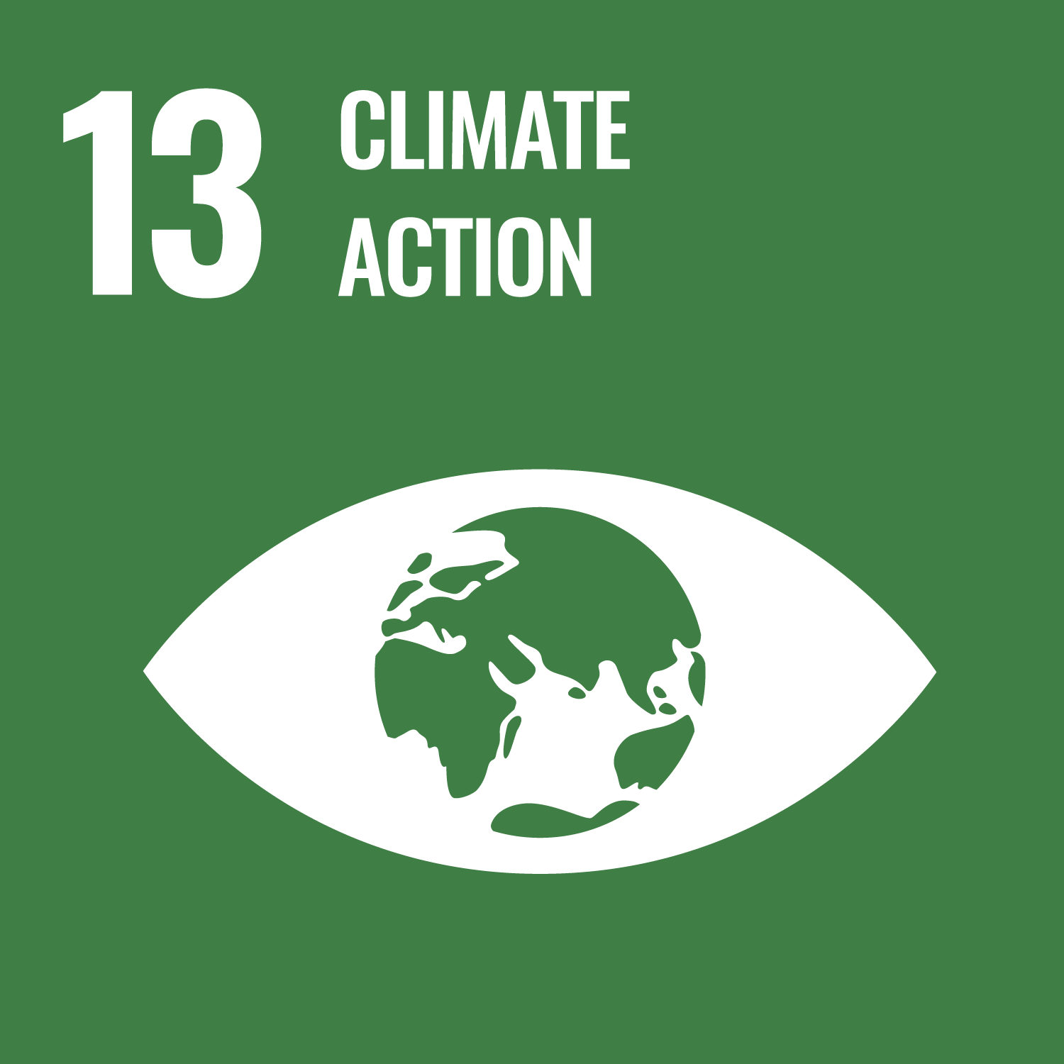 Strategic SDG 13