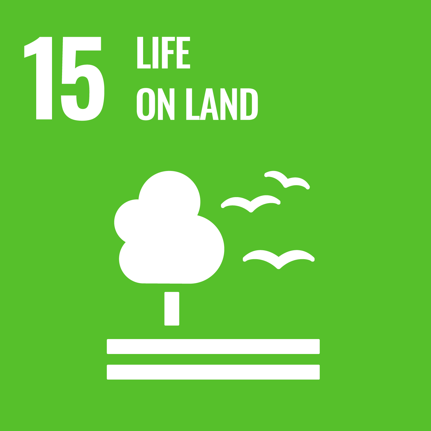 Strategic SDG 15