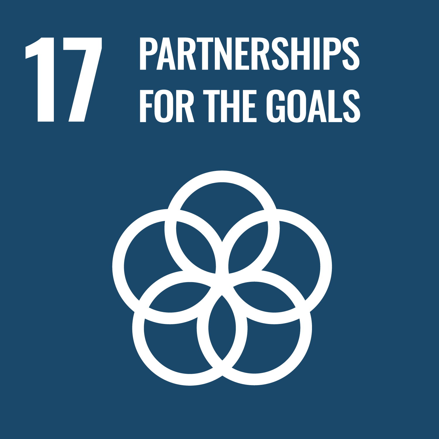 Relevant SDG 17