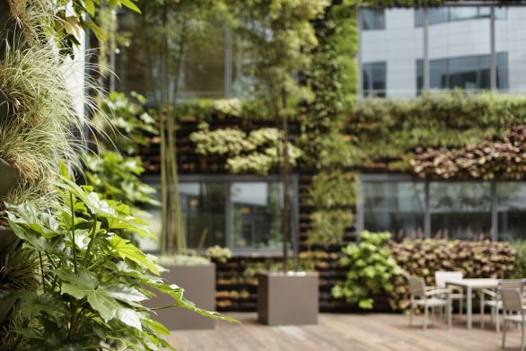 A lush green wall adorned with various plants inside a building. A vibrant display of nature's beauty indoors.