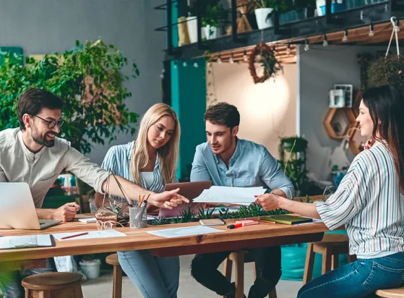 People sitting at a table in an office with plants.